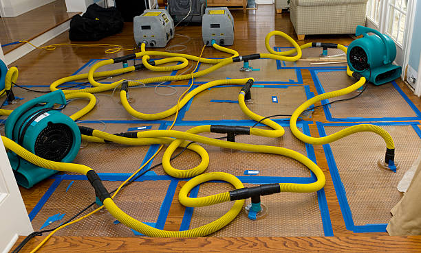 Professional Sewage Cleanup technician working in El Campo, TX